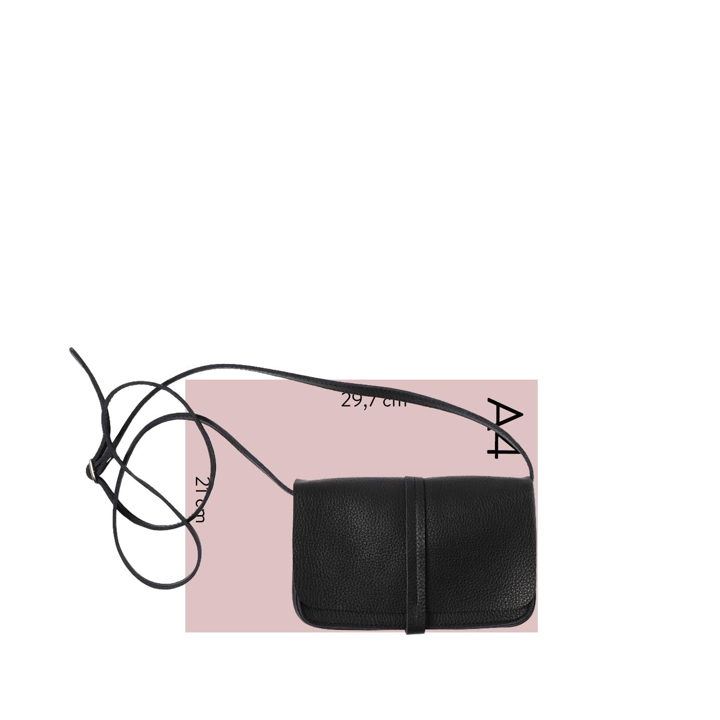 Bag, Lunch Break, Forest