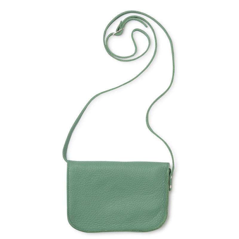 Bag, Cat Chase, Forest